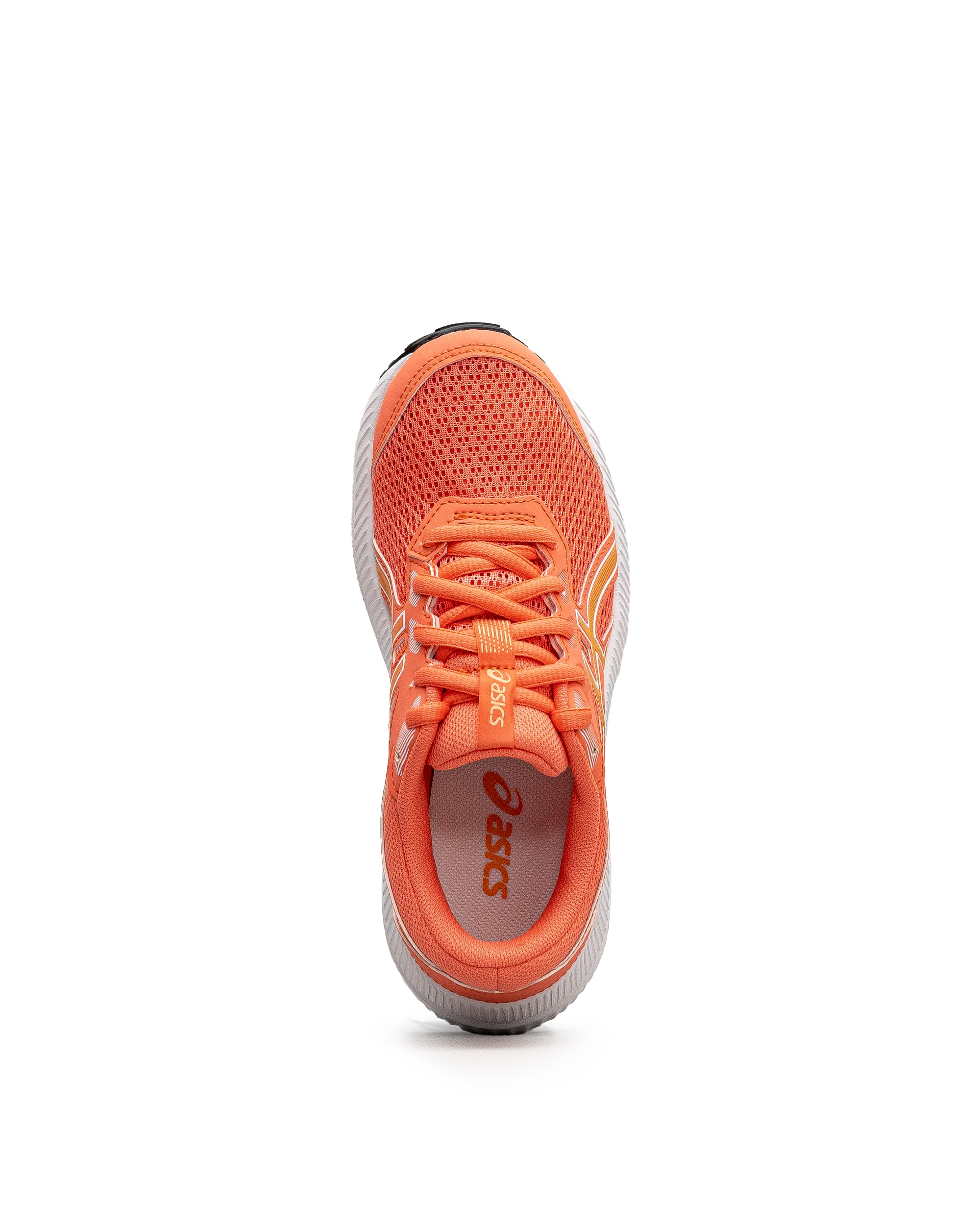 Contend 8 jr - Corail - #43E-14 - Image 5