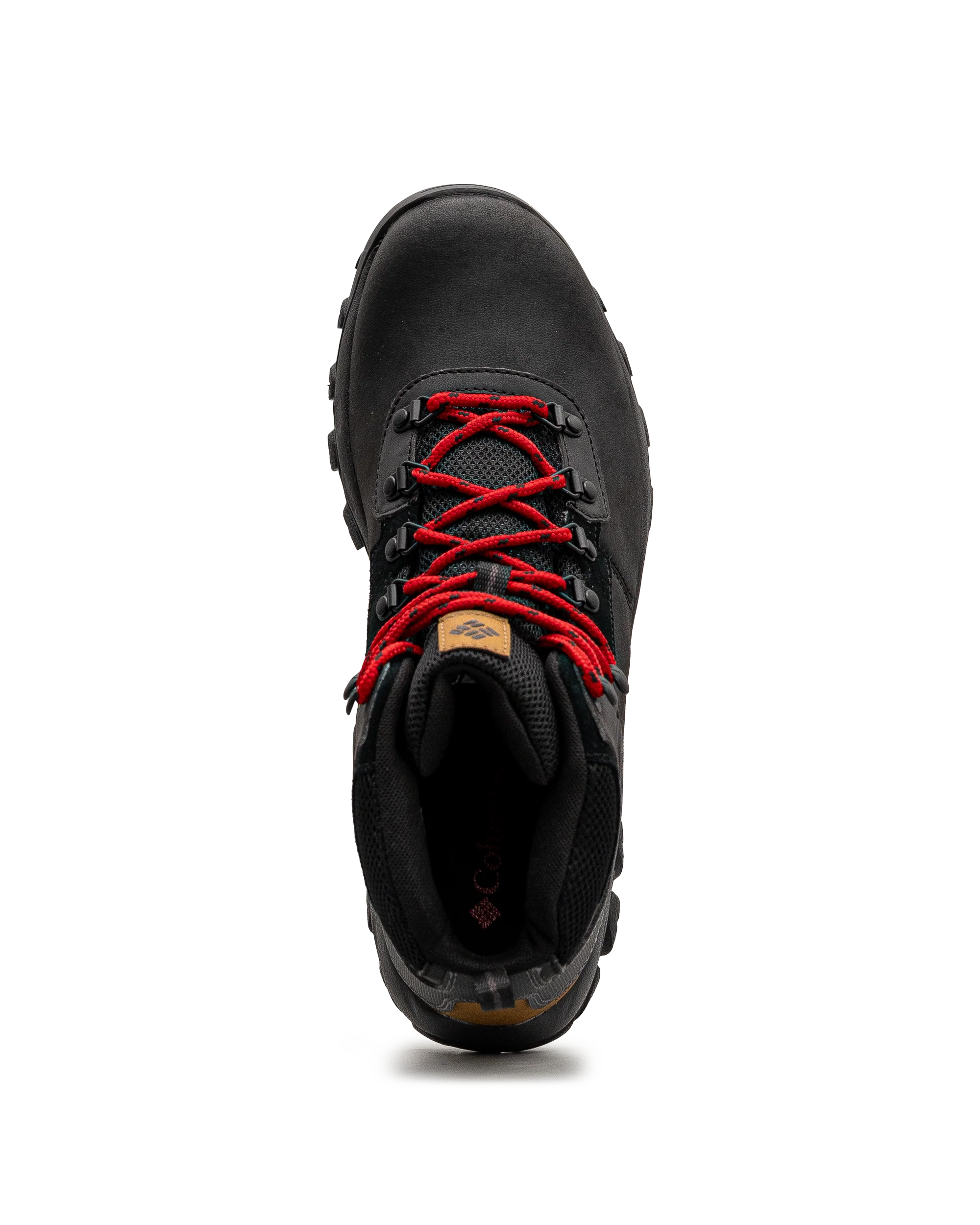 Newton ridge plus ii  - Noir - #23M-206 - Image 5
