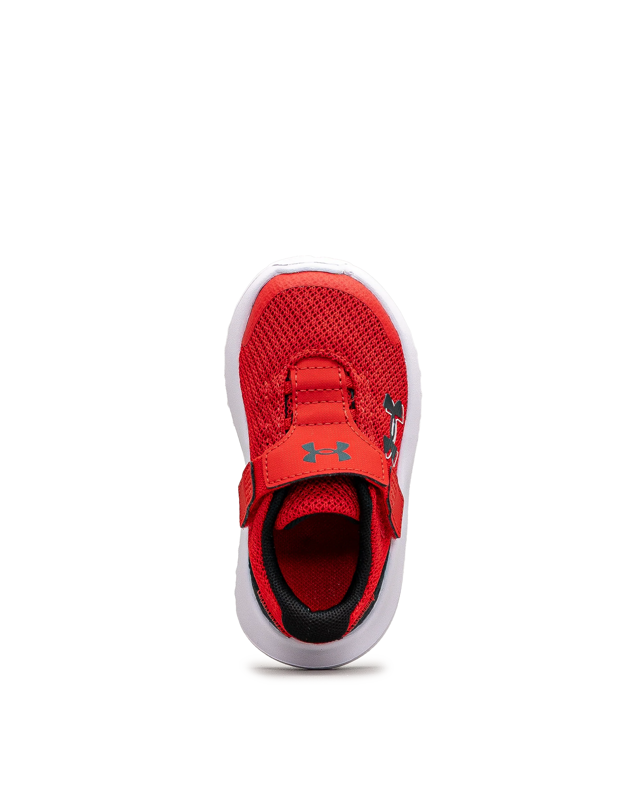 Surge 4ac td  - Rouge - #43E-60 - Image 5